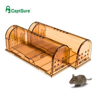 CaptSure Humane Mouse Traps for Small Rodents - 2 Pack (Small)