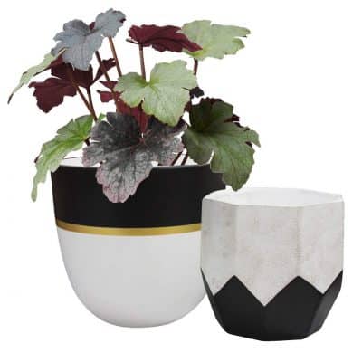 La Jolíe Muse Ceramic 6.3 Inch Plant Indoor Flower Pots, Matte Finish