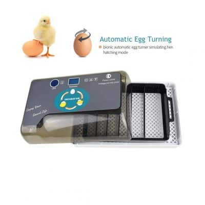 YZmoffer Automatic Egg Incubator (Black-12eggs)