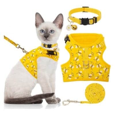 BINGPET Cat Harness with Leash