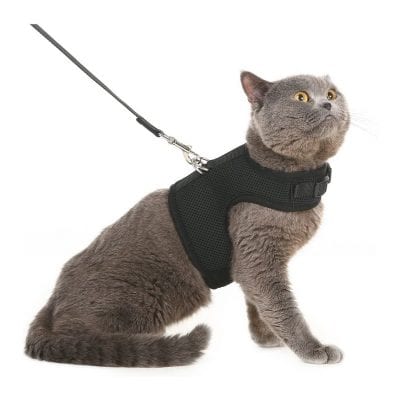 Escape Proof Cat Harness with Leash